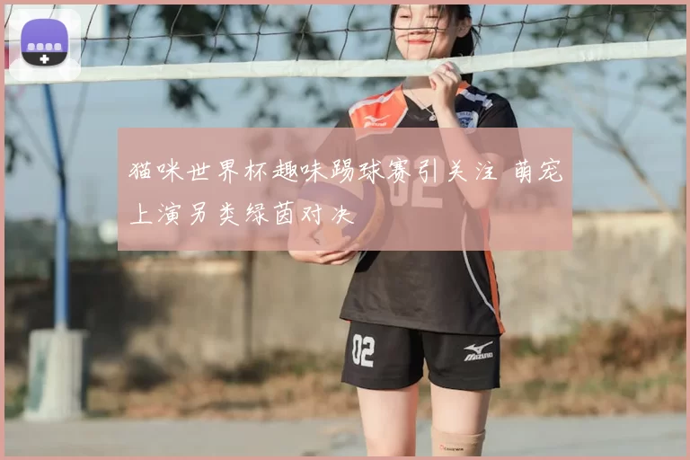 猫咪世界杯趣味踢球赛引关注 萌宠上演另类绿茵对决