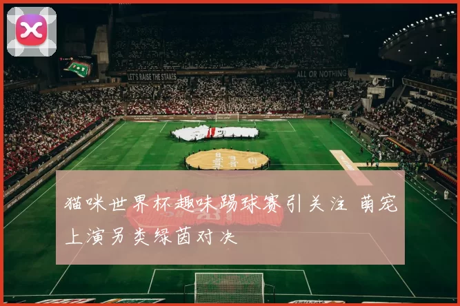 猫咪世界杯趣味踢球赛引关注 萌宠上演另类绿茵对决