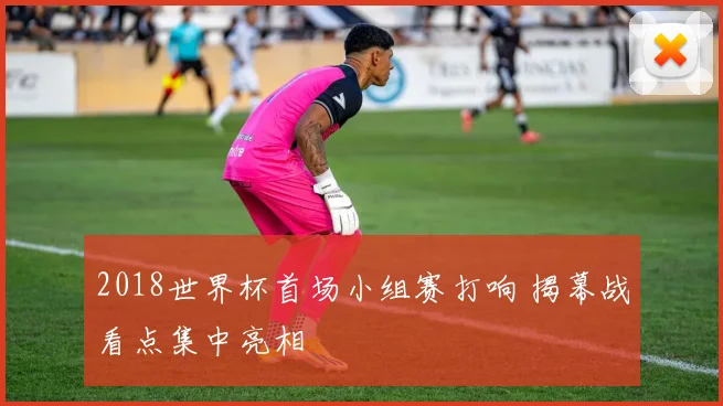 2018世界杯首场小组赛打响 揭幕战看点集中亮相