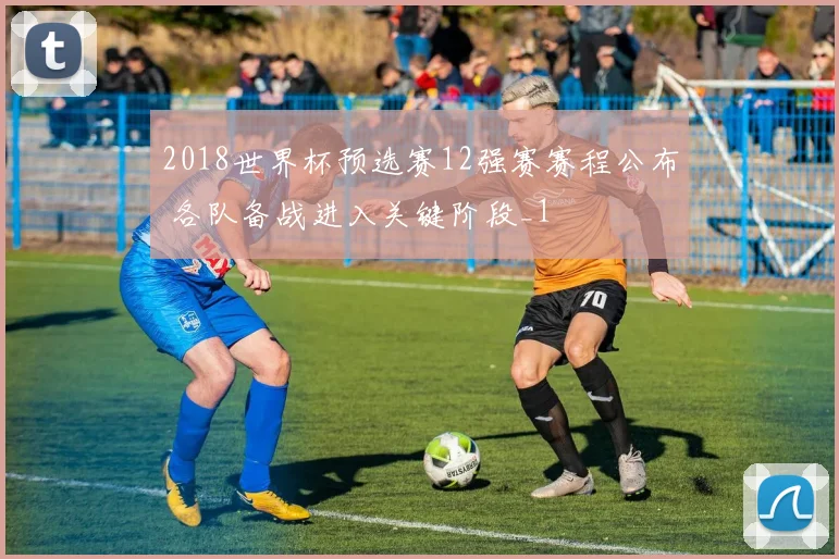 2018世界杯预选赛12强赛赛程公布 各队备战进入关键阶段_1